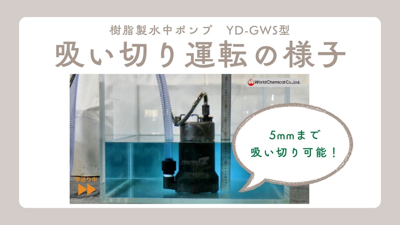GWS_吸い切り動画
