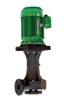 Vertical sealless pump