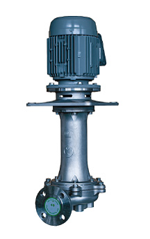 Vertical sealless pump