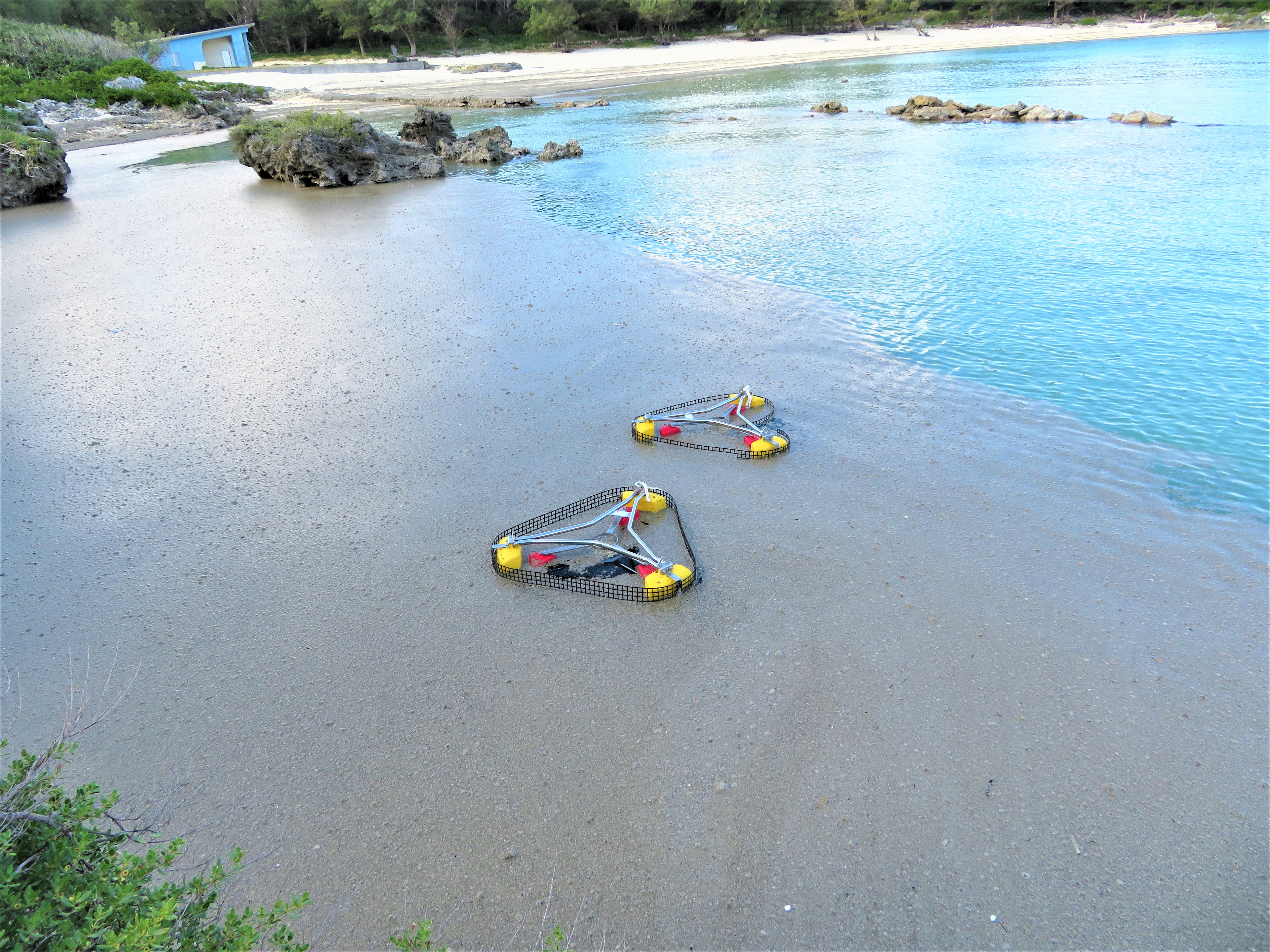 鹿児島県喜界島で漂着軽石の回収を行いました